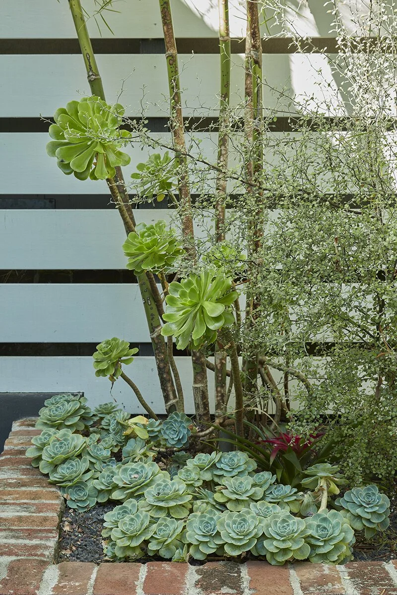 A Small SF Garden That Lives Large — Flora Grubb Gardens Plant Nursery
